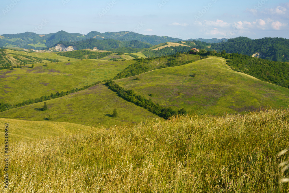 Rural landscape on the hills near Bologna, Emilia-Romagna. Rural landscape on the hills near Bologna, Emilia-Romagna.
