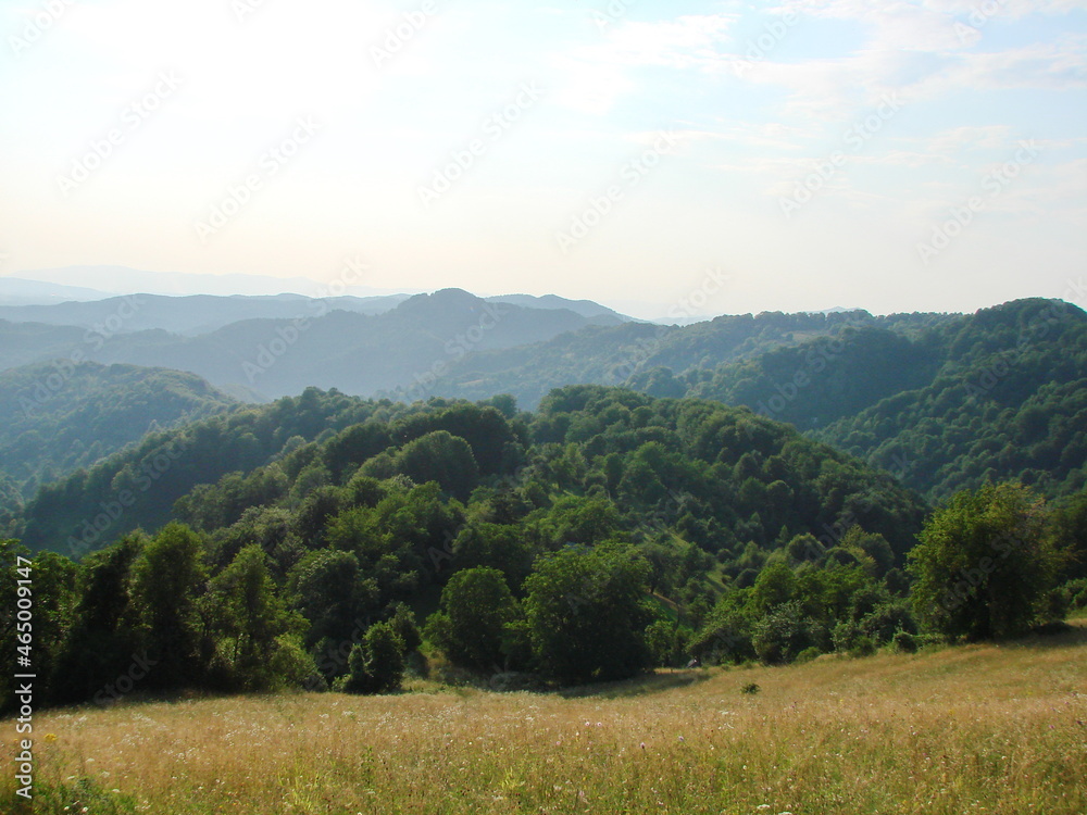 Landscape through the prism of the sun's rays of numerous hills richly covered with dense green forest.