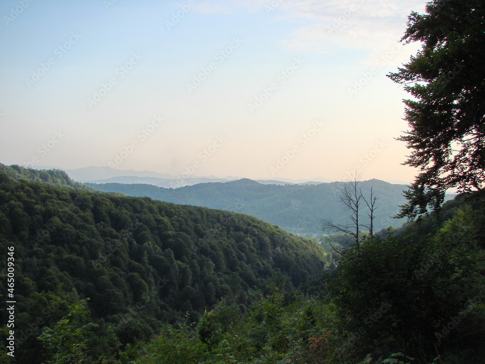 Panorama of the evening blue sky over the dark forests of the mountain ranges of Transcarpathia.