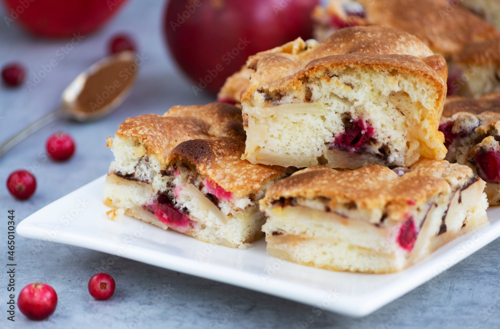 Homemade apple cake with cranberries, closeup. Russian аpple sponge cake called Sharlotka, easy recipe