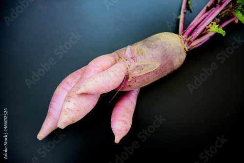 An interesting misshapen radish with a black background.