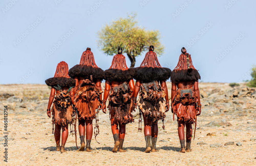 Group of women of the Himba tribe are walking through the desert in national clothes. - obrazy, fototapety, plakaty 
