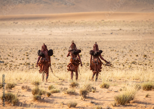 Group of women of the Himba tribe are walking through the desert in national clothes.