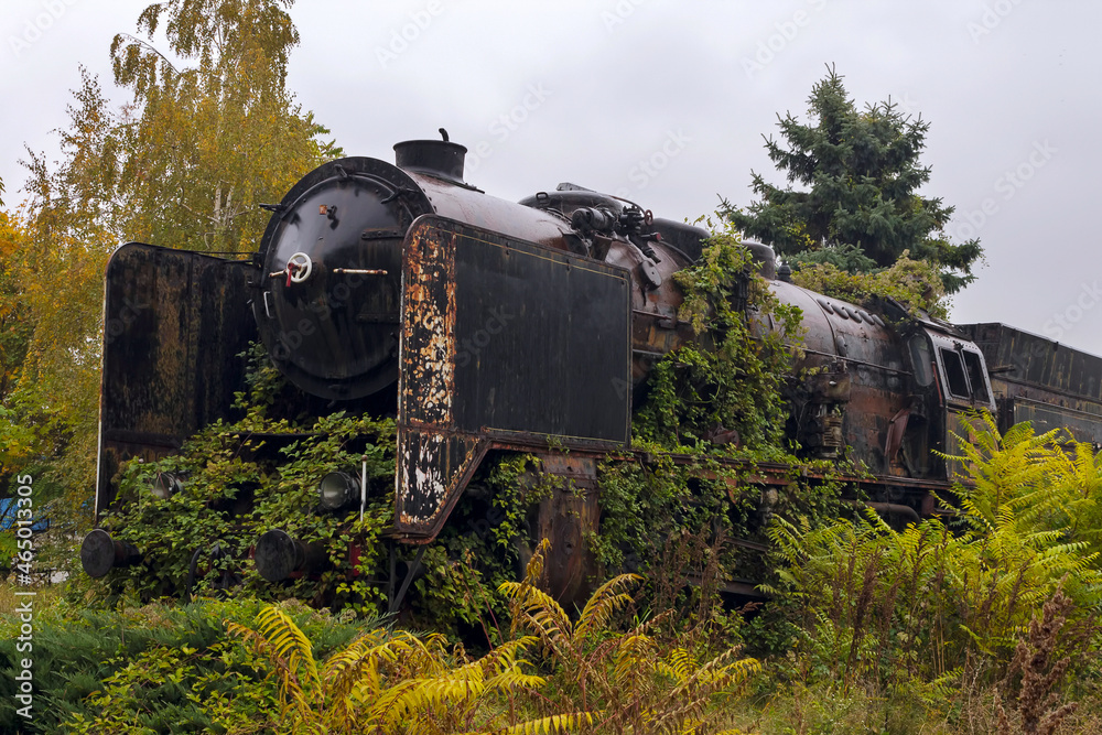 Abandoned `Berliner Maschinenbau AG` steam locomotive made in 1930 surrounded by grass, pictured on cloudy fall day, in Nis, Serbia Adobe RGB color space