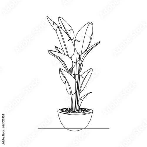 Continuous line drawing of decorative house plant in pot. Single one line art of nature home appliances. Vector illustration