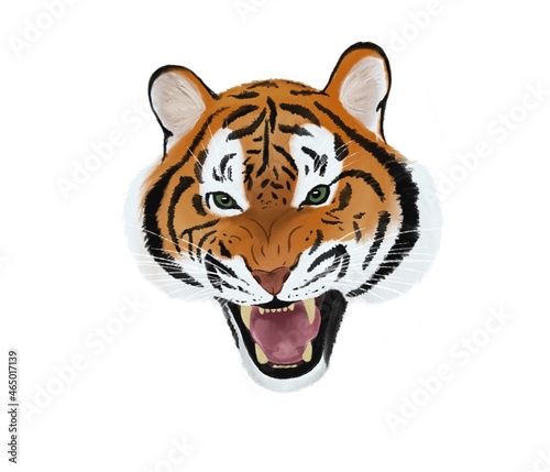 Illustration Tiger