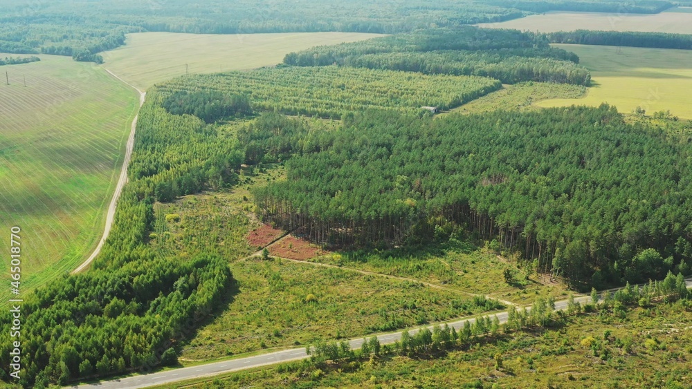 Aerial View Of Green Forest Landscape With Forest Graveyard. Traditional Slaivc Grave Yard In Pine Forest. Top View In Summer Evening. Drone View. Bird's Eye View