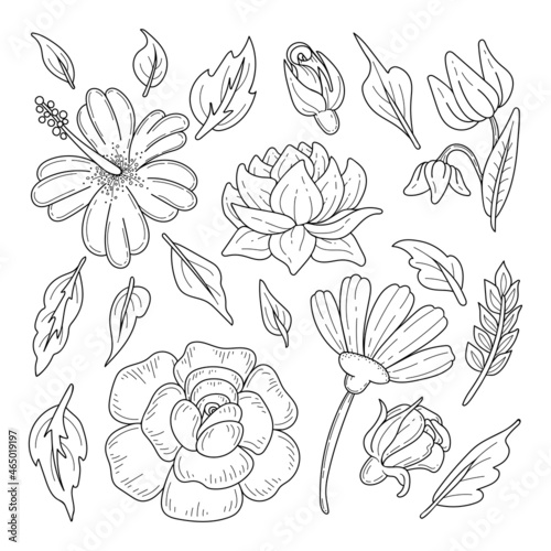 Set of flowers and leaves line art. Flower collection, tulip, hibiscus, rose, daisy. Hand drawn vector illustration. Contour bouquet of garden plants.