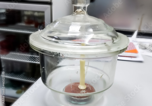 Candle and chocolate agar media in desiccator for anaerobic organism culture test in microbiology lab. photo