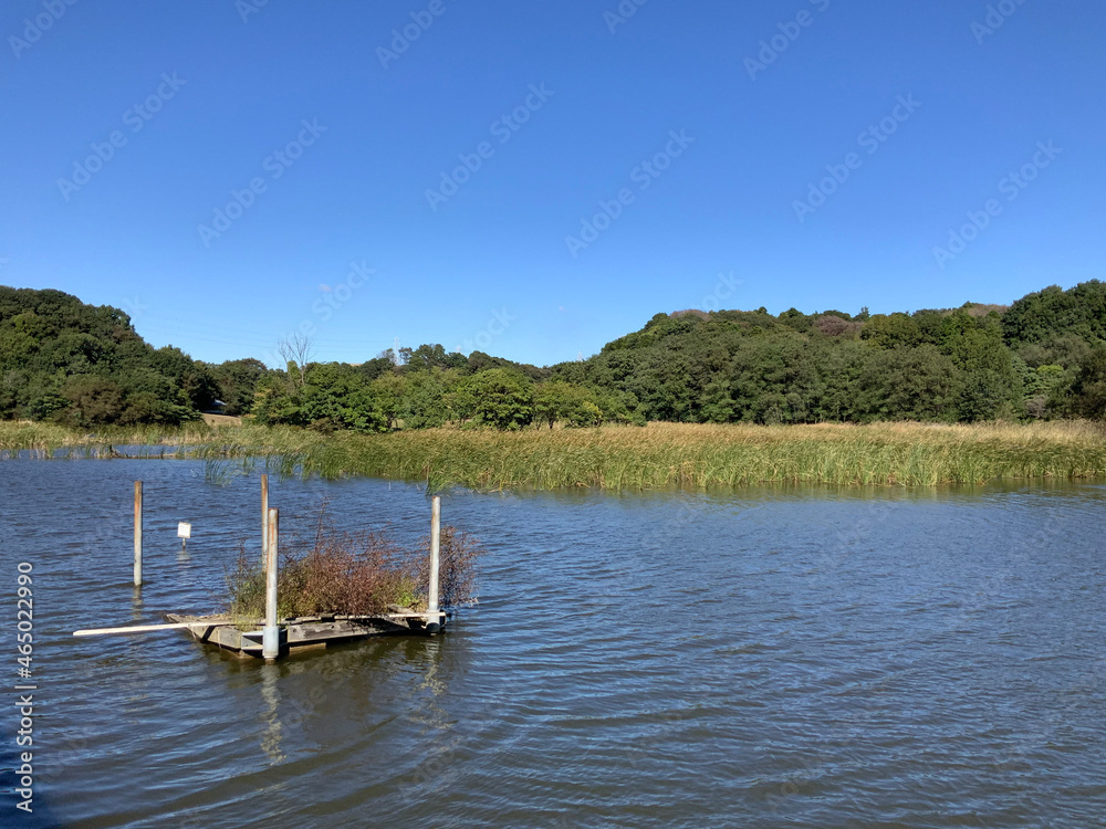 boat on the river