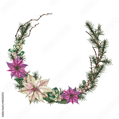 Christmas decorative asymmetric wreath of poinsettia white and pink flowers, green leaves, fir tree branches, dried twigs and snowberries. Watercolor hand painted isolated element on white background.
