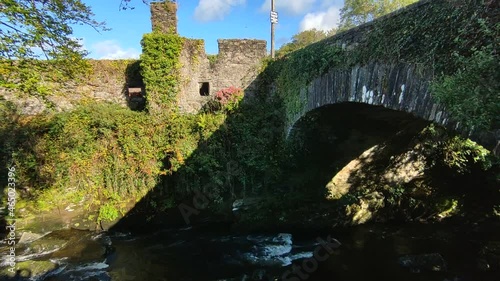 Carriganass– Panoramica dei ruderi del castello dalla sponda del fiume Ouvane photo
