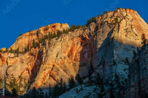 morning sunlight illuminating the canyons in Zion national park in Utah under a blue ,clear sky.