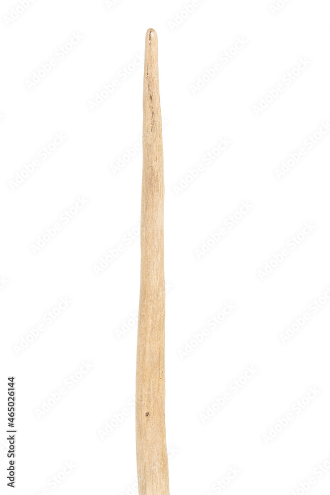 Obraz premium Part of driftwood isolated on white