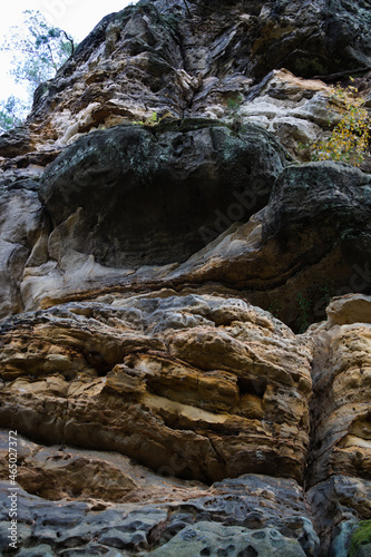 Detail of sandstone rock in Bohemian Paradise in Czech Republic