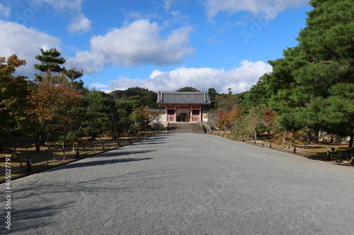 Temples and shrines in Kyoto in Japan 日本の京都にある神社仏閣 : Chu-mon Gate in the precincts of Ninna-ji Temple 仁和寺の境内にある中門