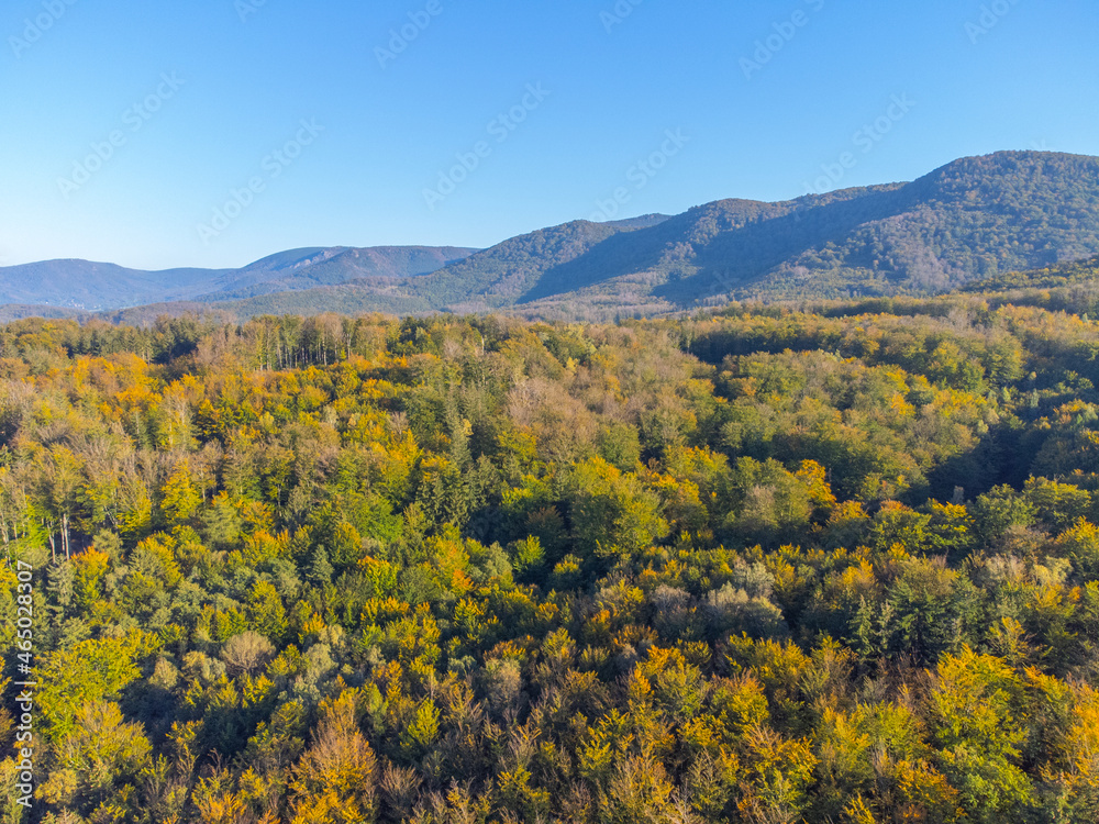 Autumn time colorful beechwood of Jizera Mountains from above