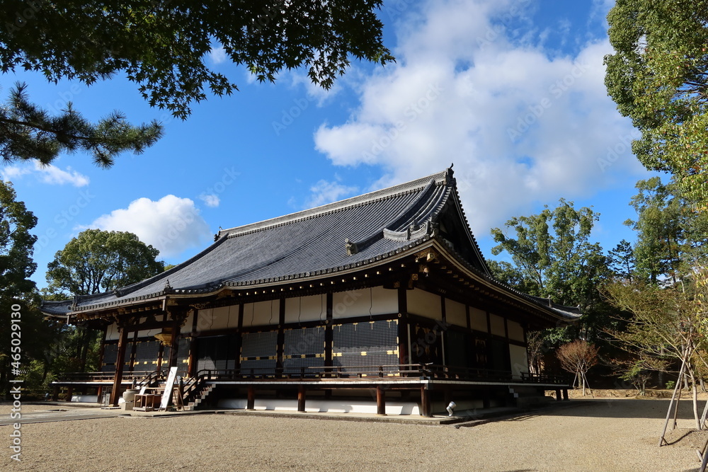 Temples and shrines in Kyoto in Japan 日本の京都にある神社仏閣 : Kon-do Temple in the precincts of Ninna-ji Temple 仁和寺の境内にある金堂