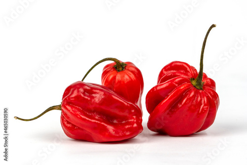 Red hot habanero peppers isolated on white background
 photo