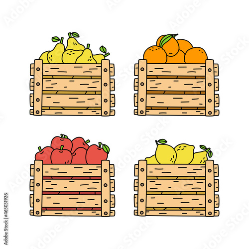 Fruit box with pear, orange, apple and lemon. Wooden container isolated on white. Hand drawn sketch set