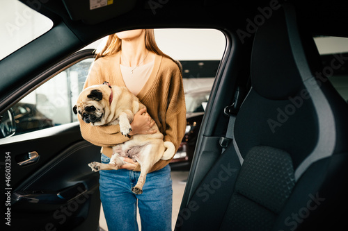 Woman with cute pug on hands choosing new car at salon © Iryna