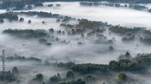Mountain forest wrapped by mist at morning 