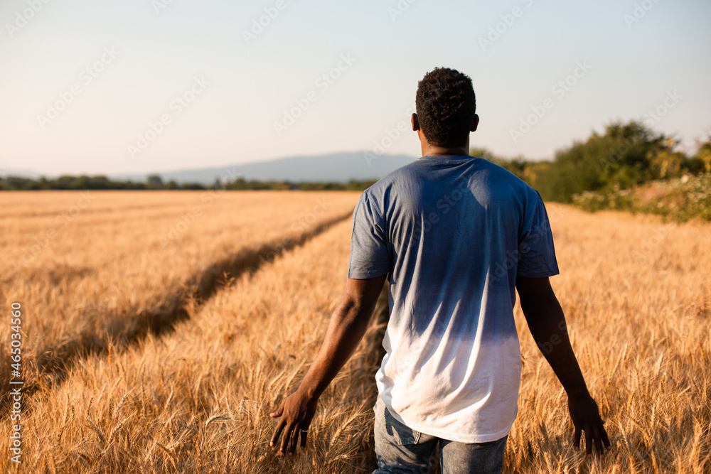 Young farmer standing in the middle of the field Young farmer standing in the middle of the field