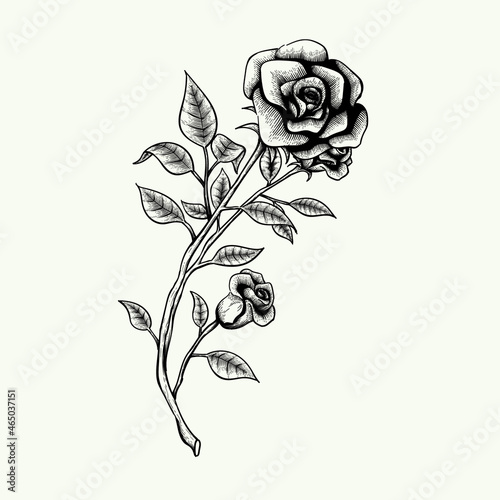 beautiful hand drawn flower for background design. vintage flower drawing. black and white drawing