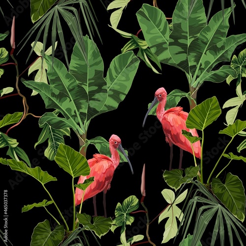 Birds Scarlet Ibis in the thickets of a palm rainforest. Hand drawn  illustration. Tropical jungle on black background.