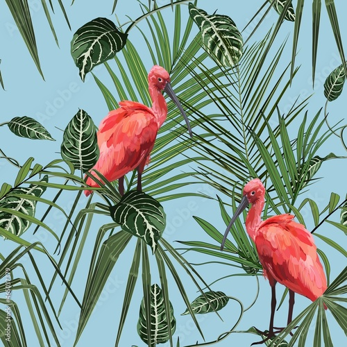 Birds Scarlet Ibis in the thickets of a palm rainforest. Hand drawn  illustration. Tropical jungle on blue background.
