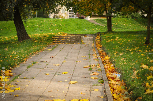 Fototapeta Naklejka Na Ścianę i Meble -  Paved pedestrian path with autumn leaves and green grass along both sides