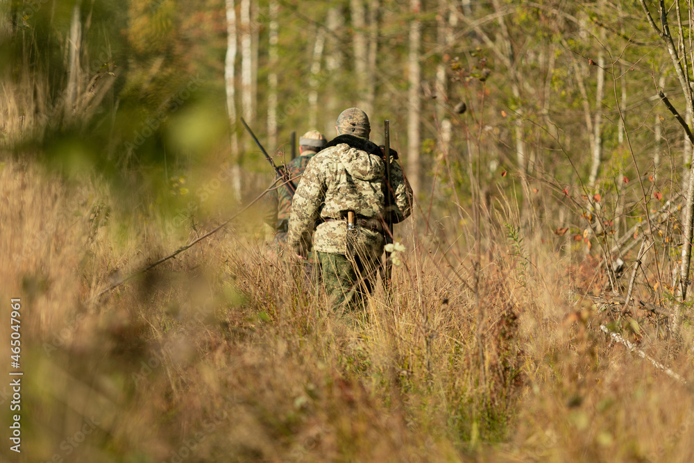 Fototapeta premium Group of hunters during hunting in the forest