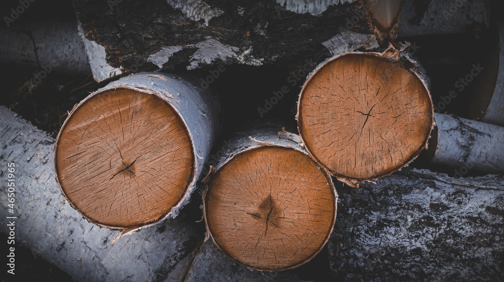Birch, Woods, stack, wooden, nature, firewood, wood, tree, cut, natural, pile, trees, woodpile, fuel, texture, lumber Birch, Woods, stack, wooden, nature, firewood, wood, tree, cut, natural, pile, trees, woodpile, fuel, texture, lumber
