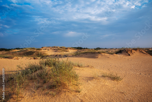 desert landscape at sunrise. summer background