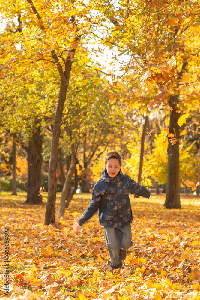 A child cheerfully runs along the motley autumn foliage on a clear autumn day in the park A child cheerfully runs along the motley autumn foliage on a clear autumn day in the park