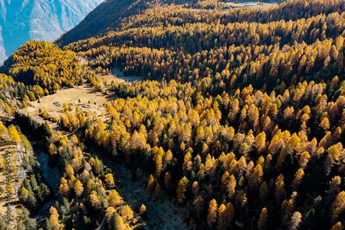 Valmalenco, Italy, autumnal aerial view of the Val Torreggio near the Bosio Refuge with typical alpine huts photo