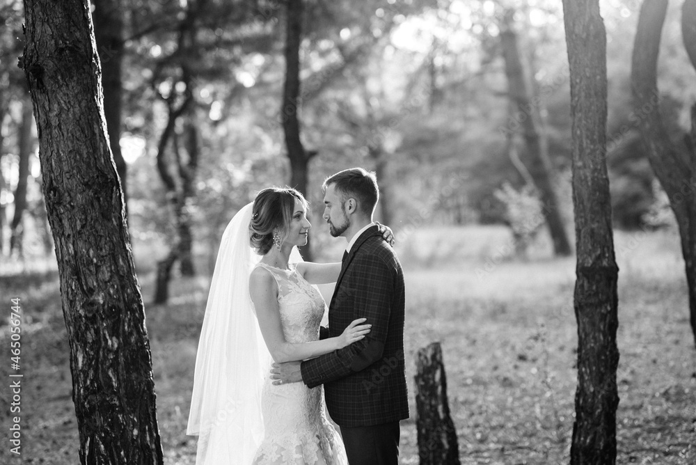walk of the bride and groom through the autumn forest walk of the bride and groom through the autumn forest