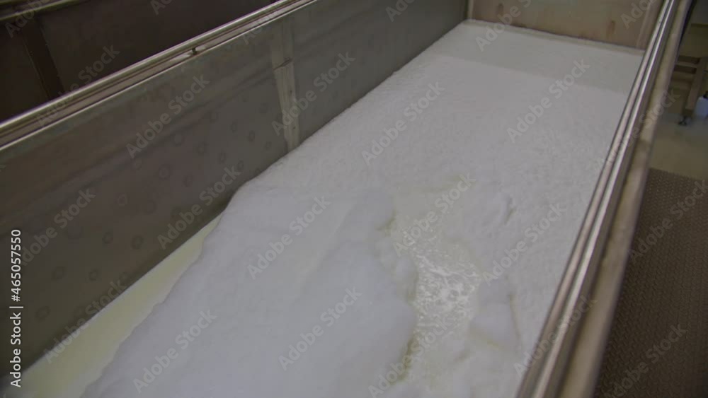 Small factory processing dairy products. Bio dairy farm. Foamy milk. Food industry Small factory processing dairy products. Bio dairy farm. Foamy milk. Food industry