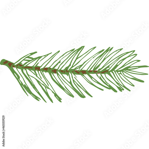 Hand Drawn Vector Evergreen Spruce or Pine Tree Branch Colorful Fir-needle Twig Sketch. Isolated