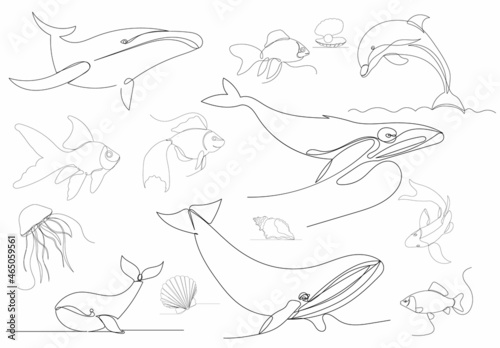 set of fish  whales continuous line vector  isolated