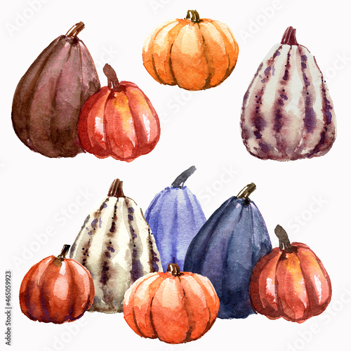 Pumpkin watercolor vegetables vegetarianism halloween october harvest bright harvest holiday congratulations element isolated set on white background