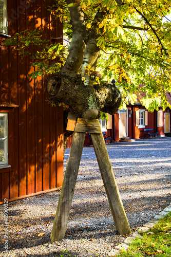 Foto Stockholm, Sweden A wooden support holds up a tree branch in a public park