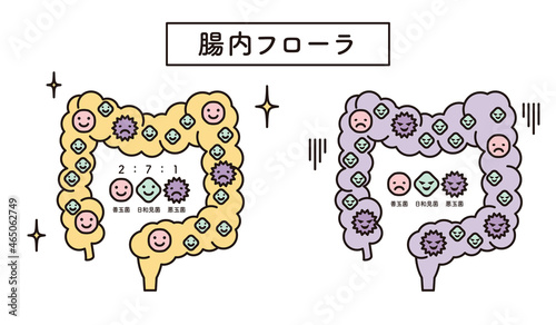シンプル　イラスト　腸内フローラ
