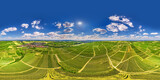 above the vineyards near Westhofen 360° x 180° aerial skypano