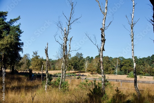 Hirschkäferroute photo