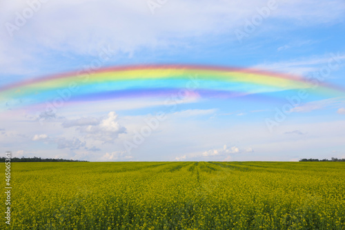 Beautiful rainbow in blue sky over green field on sunny day