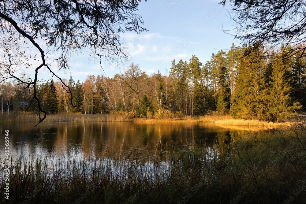 autumn in the forest autumn in the forest