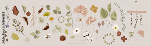Botanical autumn illustration set of different florals 