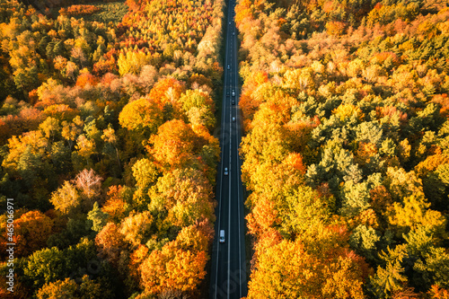 autumn leaves on the tree cars on the road © Bartek Wróblewski