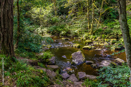 A view across Hebden Beck on the outskirts of Hebden Bridge  Yorkshire  UK in summertime